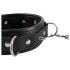 Bad Kitty - halsband met spikes en studs met riem (zwart)