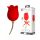 Pretty Love Rose Lover - 2-in-1 clitorisstimulator met tong (rood)